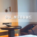 서진사우나 | [ 잠실ㅣ롯데호텔월드 ] 롯데월드 이용 시 1박하기 좋은 롯데호텔 3인 이용 후기