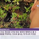 [KBS 뉴스][뉴스 따라잡기] 연쇄 동물 학대에 경고문까지…범인은? 이미지