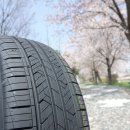 중앙동205 이미지