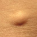 데일리연합의원 이미지