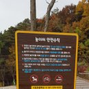 다원초등학교 이미지