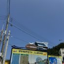 근덕면복지회관 | 강원도 삼척 스노클링 | 장호항 vs 갈남항, 과연 승자는?