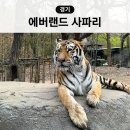 에버랜드 사파리월드 시간 버스 자리 명당 동물 현장줄서기 평일 후기