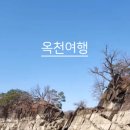 (주)미르투어 이미지
