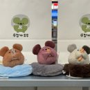 무무안경 | 수집가무무 키링 , 완두콩쥐 봇짐세트 구매 후기