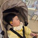 개나리세탁 | 봄 산책룩 추천 💛 인간개나리 만들어주는 케어베어 우주복 후기