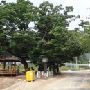 대문리마을회관 이미지