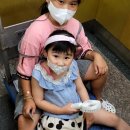 짬짬이 작은도서관 이미지