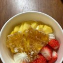 카페요아정 세종도담점 네이버블로그