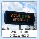 정원로 | 강릉 2박 3일 여행코스 총정리 | 맛집 숙소 소품샵 내돈내산 후기