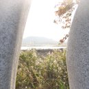 갈대이야기 이미지