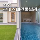 로이스애견풀빌라 이미지