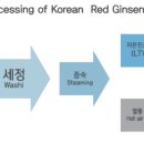 웰너스코리아 주식회사 이미지
