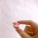 GS25석촌호수 이미지