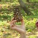 복돌맘 수제간식(폐업) | 강원도 춘천, 강릉 1박 2일 여행 (숲체원 - 소상공인 심리회복 지원 여행, 단오제)