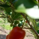 오월농장 이미지