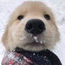 꽃내음가득 이미지