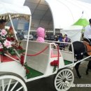 장전천1 이미지