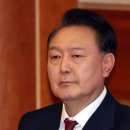 내란수괴놈 윤무당의 대한민국 헌법파괴~!!!＜조선일보＞ 이미지