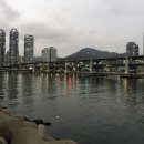 운문댐하류보3 이미지