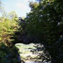 의풍분교온달캠핑장 이미지