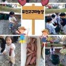 유진농장 네이버블로그