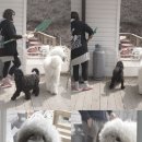 성준민박 네이버블로그