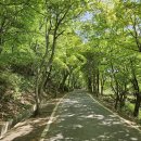 마니산(육각매점) 이미지