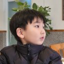 성진농장 | 2월의 조각들 : 아이와 함께 걷고, 웃고, 떠들던 날들