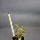 지일농장 이미지