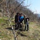 부목농장 이미지