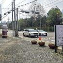 동암초등학교앞 ~호암교앞(장곡로) | 의정부 장암 애견 동반 카페 추천, 플라워카페 테리 내돈내산 후기