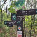 팔조령목장 이미지