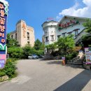 들꽃전통차