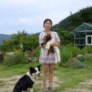 하이디 흑염소 농장 네이버블로그