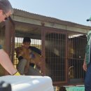 천운농장-2 이미지