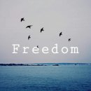 바다랜드 이미지