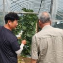 홍원바이오아그로 이미지