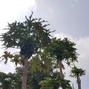 한국농장 이미지