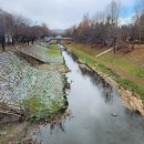 백악관관광나이트 이미지