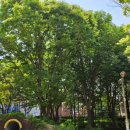 세곡-111 이미지