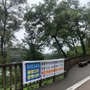 카페미르 | 볼만한 곳 [진천 농다리]/[진천 출렁다리] 진천 유명명소/진천 관광지 추천/진천 카페 추천 미르 309 후기