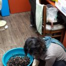 온천2동-16 이미지