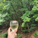 스테이인터뷰장태산 이미지