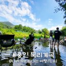 폴짝폴짝 이야기 숲 | 용인 묵리계곡, 동탄 수원 근처 계곡 물놀이 안성 근교 딱인데?