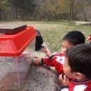 숲속유치원 이미지