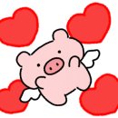 진도개천국 이미지