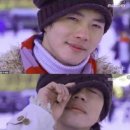 롯데애견 이미지