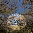 남동79 | [인천_남동구]인천대공원/꽃놀이막차탑승 주말후기 /다시안갈래요:)내돈내산찐후기