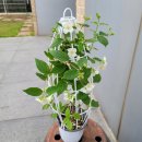 국선농장 이미지